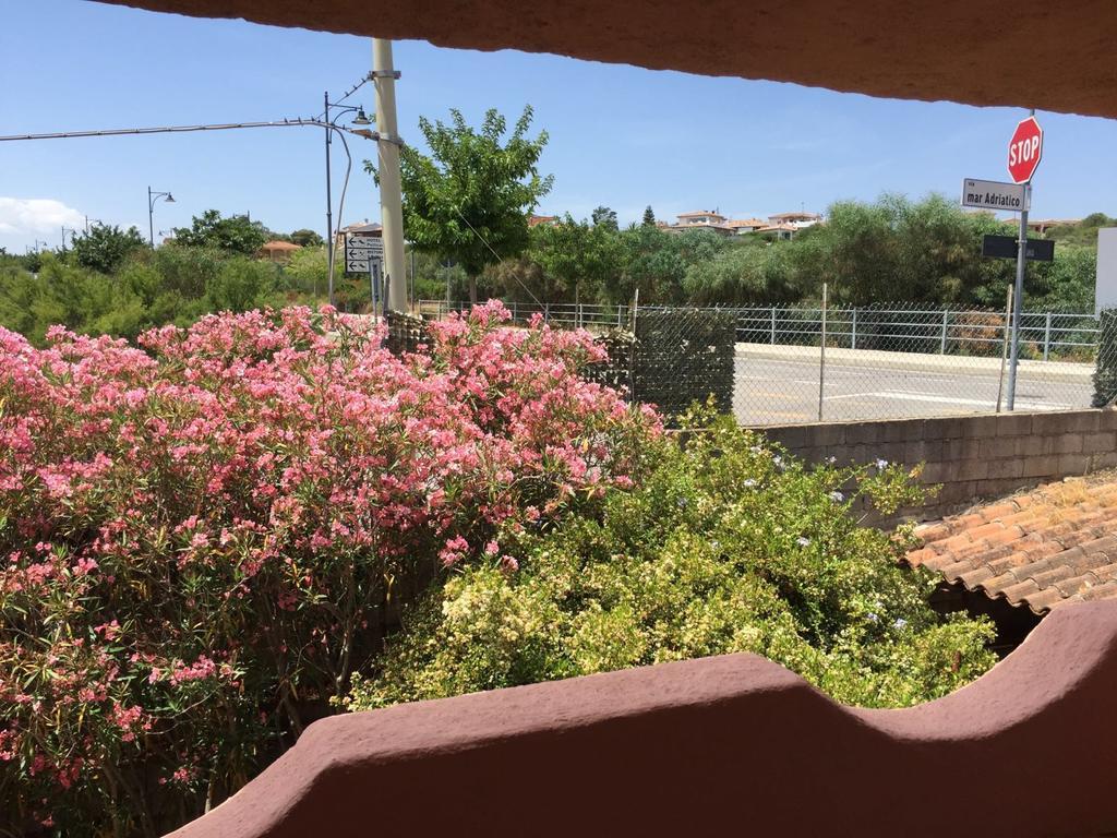 Willa Il Fenicottero Rosa Olbia Zewnętrze zdjęcie