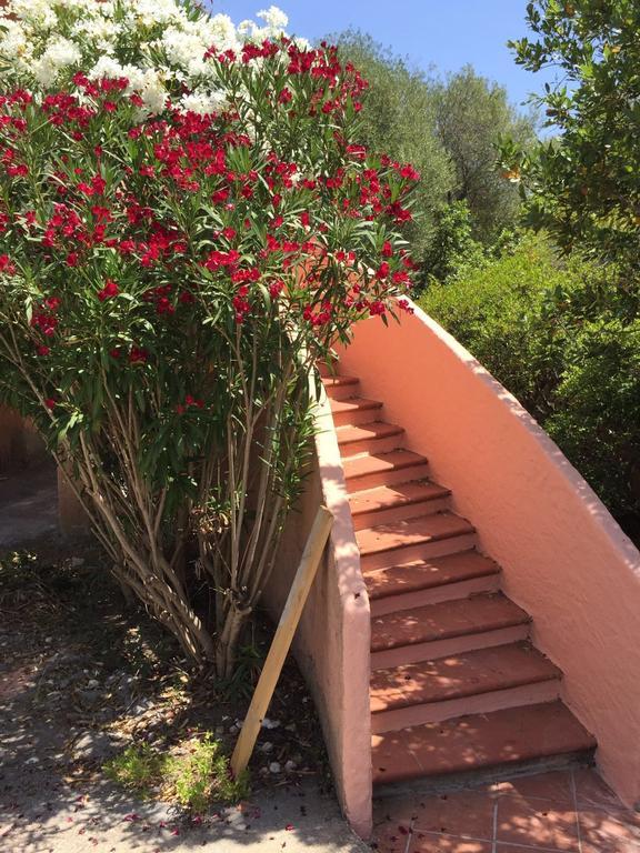 Willa Il Fenicottero Rosa Olbia Zewnętrze zdjęcie